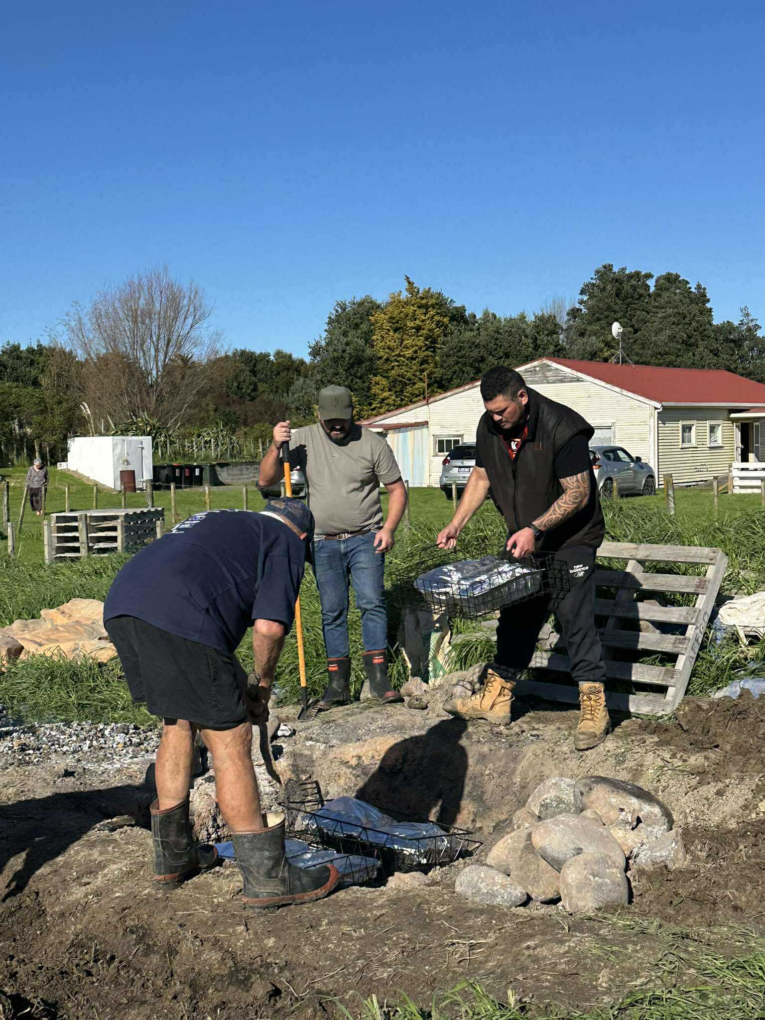 Hāngi going in ground at Peakman wānanga.